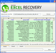 XLS Recovery Tool screenshot